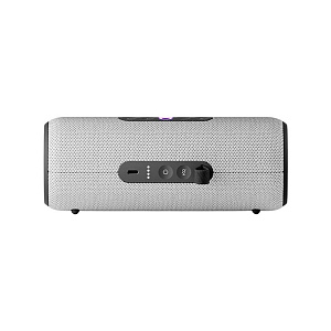 Умная колонка Яндекс Станция Стрит 30W серая